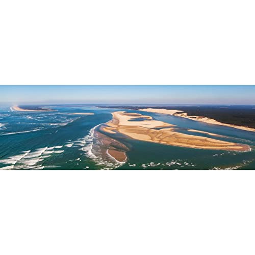 Ceanothe Vue Dune du Pilat tableau toile 45x135 cm