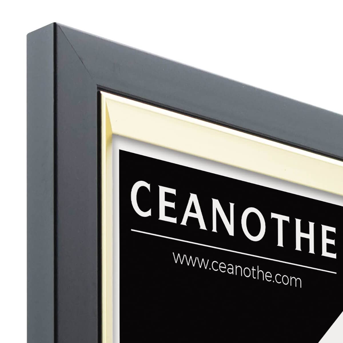 Ceanothe Actual 24x30 cm cadre photo noir et doré incassable