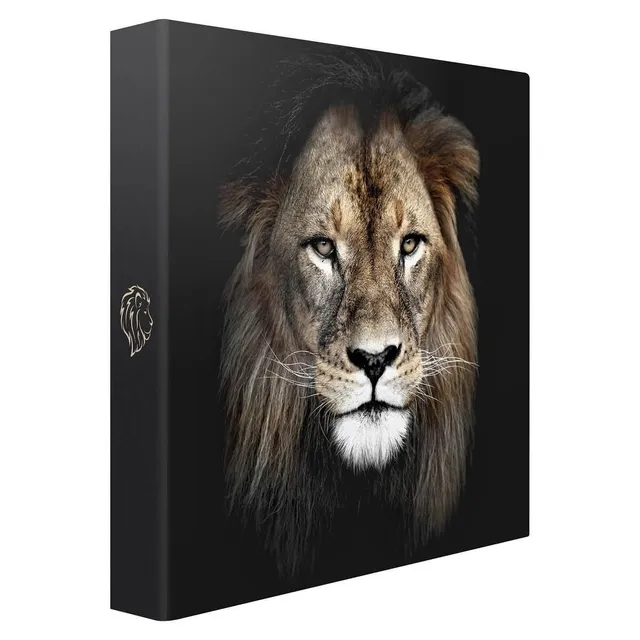 Ceanothe King album pochette lion 200 photos 10x15