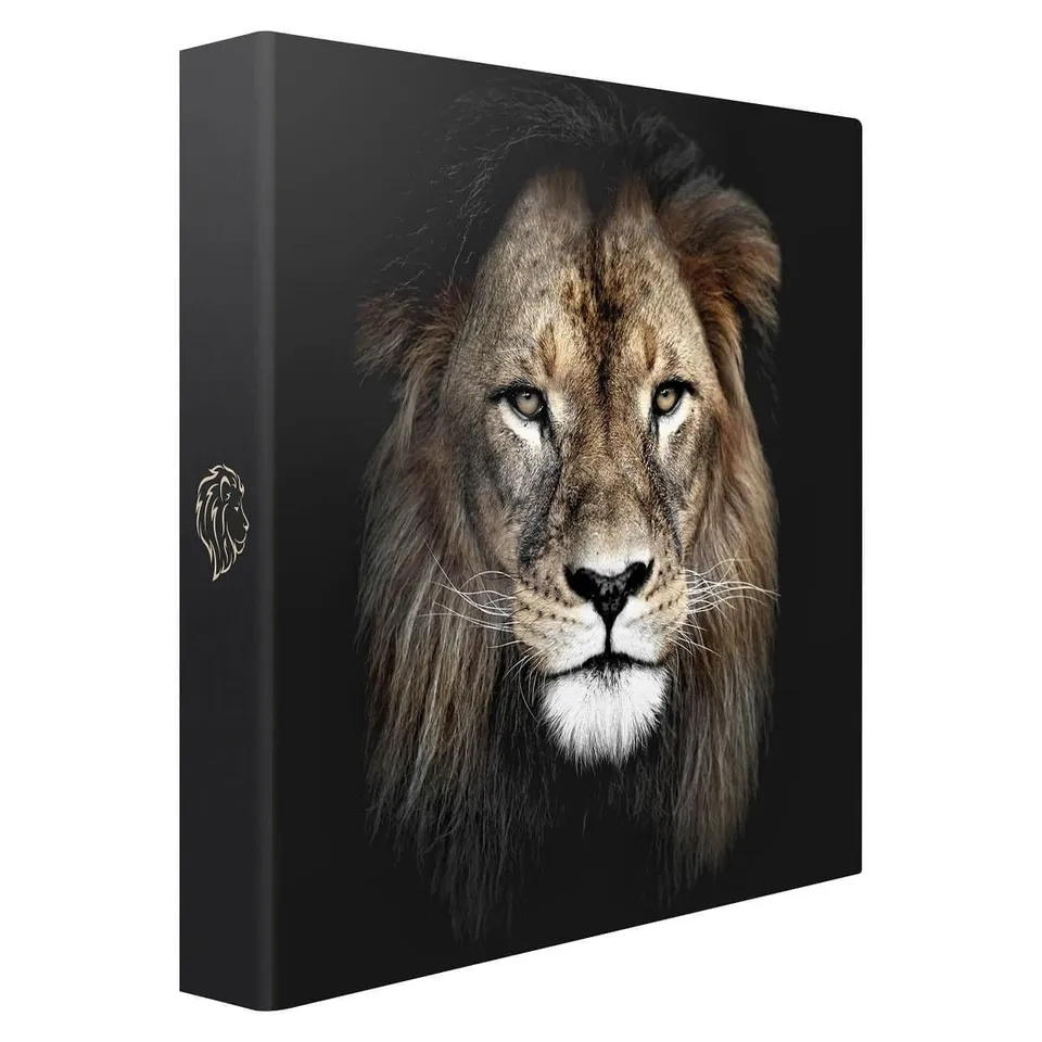 Ceanothe King album pochette lion 200 photos 10x15