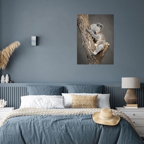 Ceanothe tableau toile koala endormi 30x45 cm HD