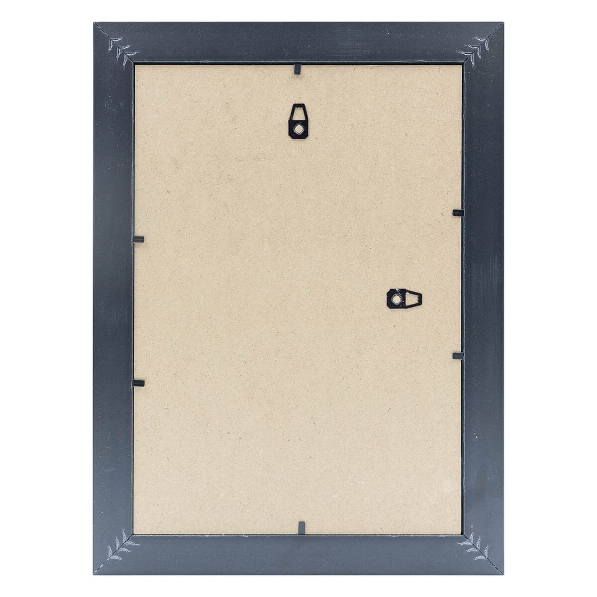 Ceanothe Brio Hades cadre photo 20x30 filet or bois