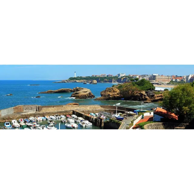 Ceanothe Biarritz port tableau toile 30x97 cm mat