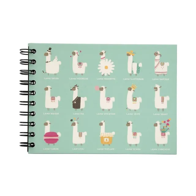 Ceanothe Panodia Artist mini album photo lama 30 pages