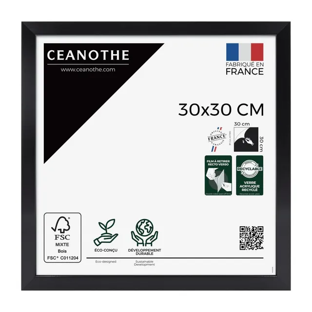 Ceanothe Precious cadre photo gris 30x30 cm incassable