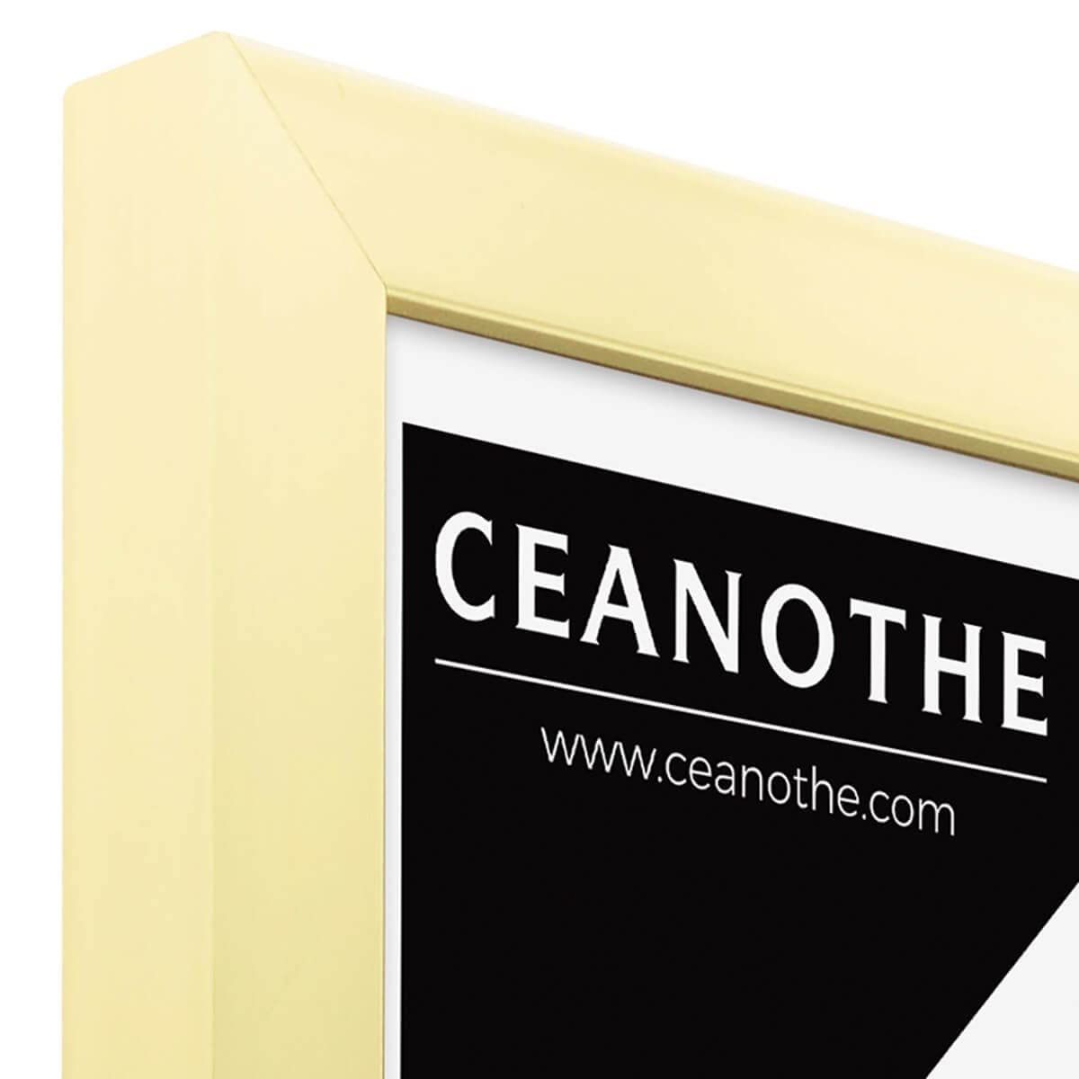 Ceanothe Precious cadre photo 20x30 cm doré incassable
