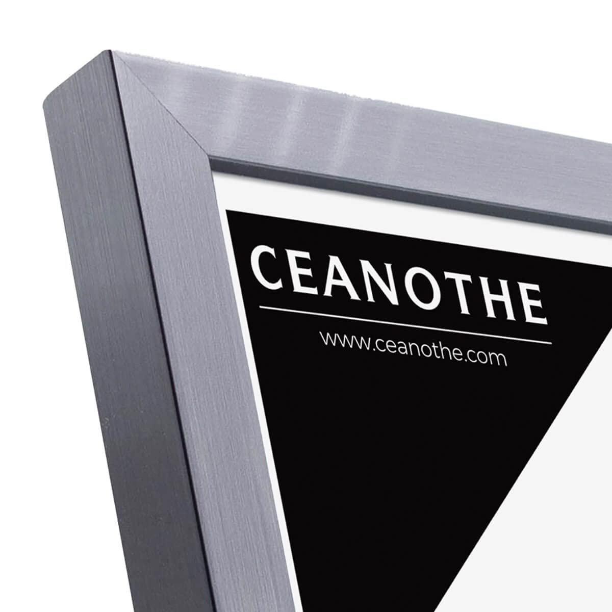 Ceanothe Precious cadre photo gris 15x20 cm incassable