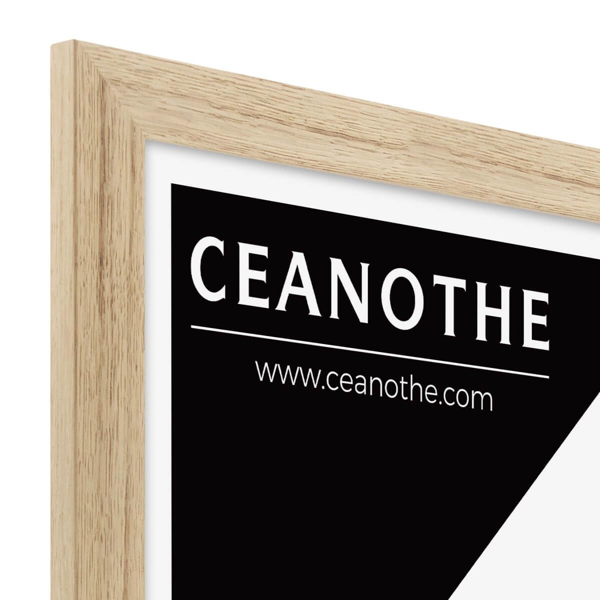 Ceanothe Tara cadre photo chêne 30x40 cm brut