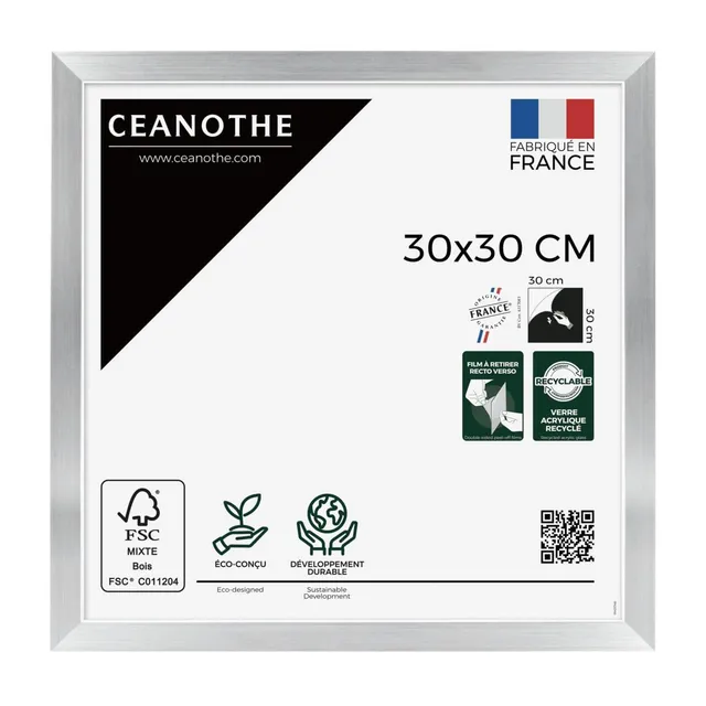 Ceanothe Precious cadre photo acier 30x30 cm brillant moderne