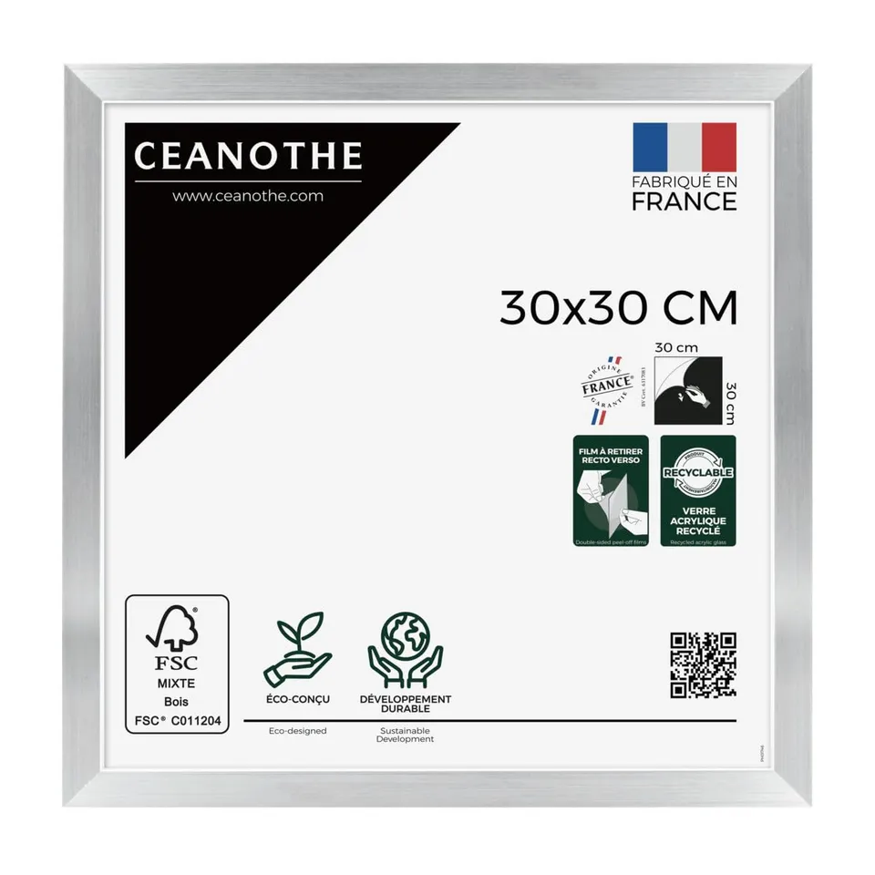 Ceanothe Precious cadre photo acier 30x30 cm brillant moderne