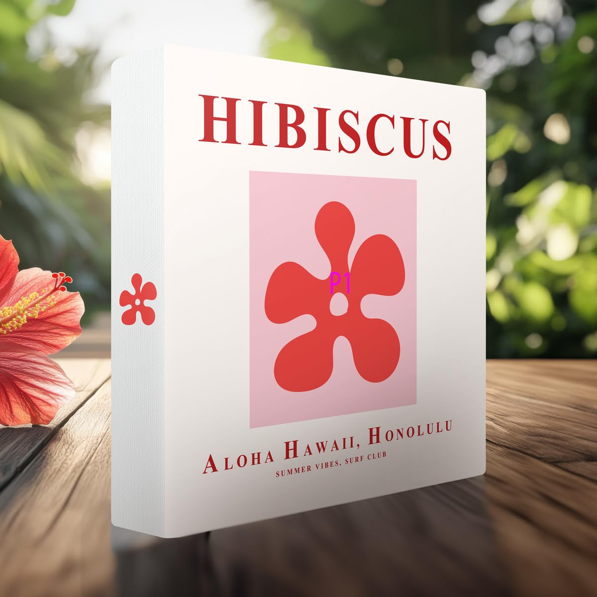 Ceanothe Hibiscus album photo pochettes 200 photos 11,5x15 cm