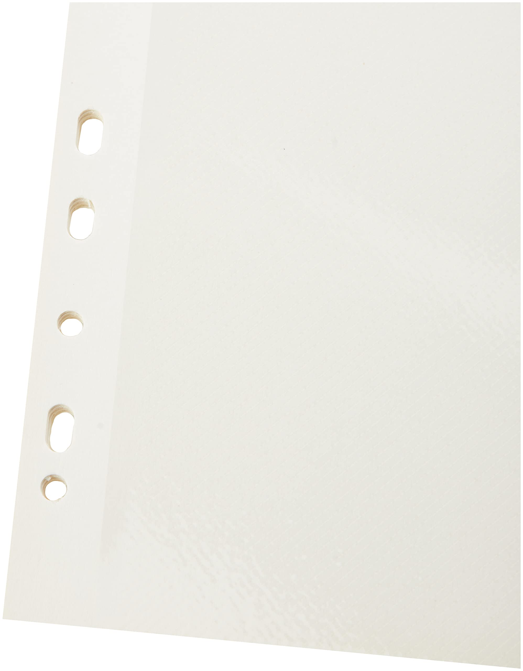 walther design DS-118 feuilles autocollantes 23,5x31,5 blanc x10