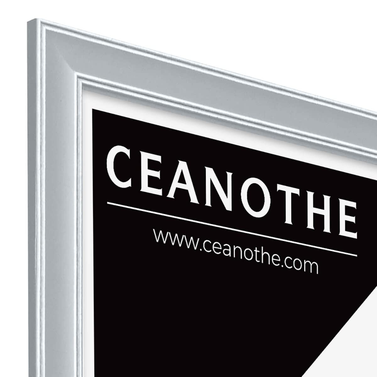 Ceanothe Constance cadre photo gris 50x70 cm