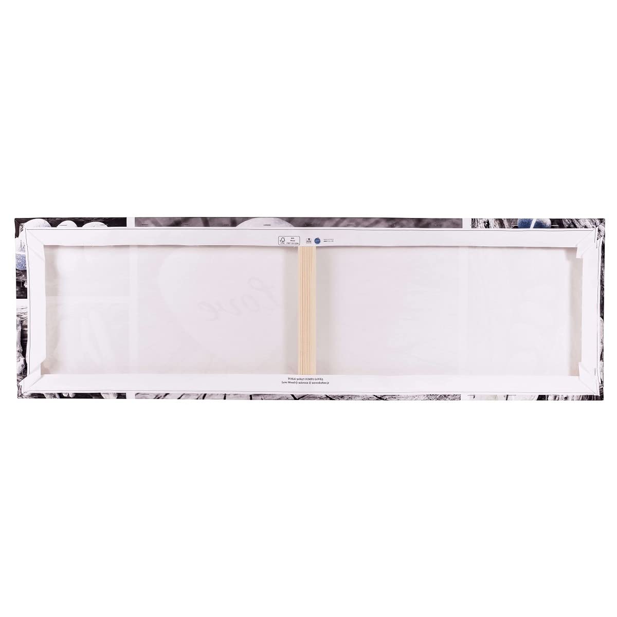 Ceanothe Etretat tableau toile 30x97 cm mat