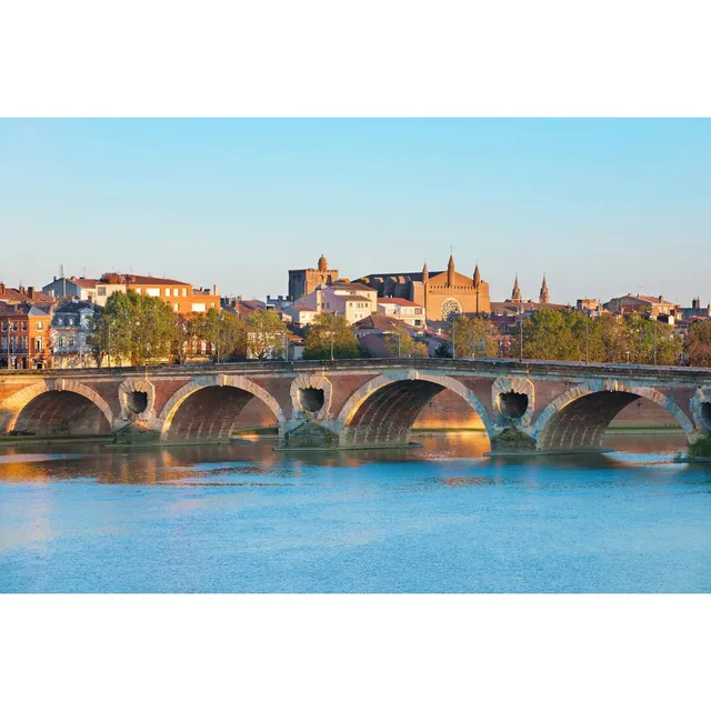 Ceanothe Art de nos régions Pont Neuf Toulouse tableau toile 30x45 cm