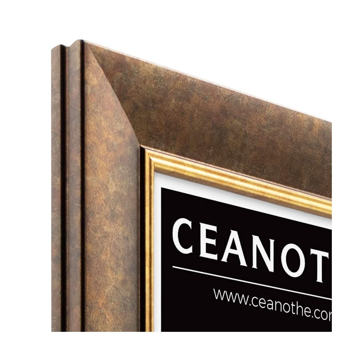 Ceanothe Brio cadre photo 24x30 cm filet or
