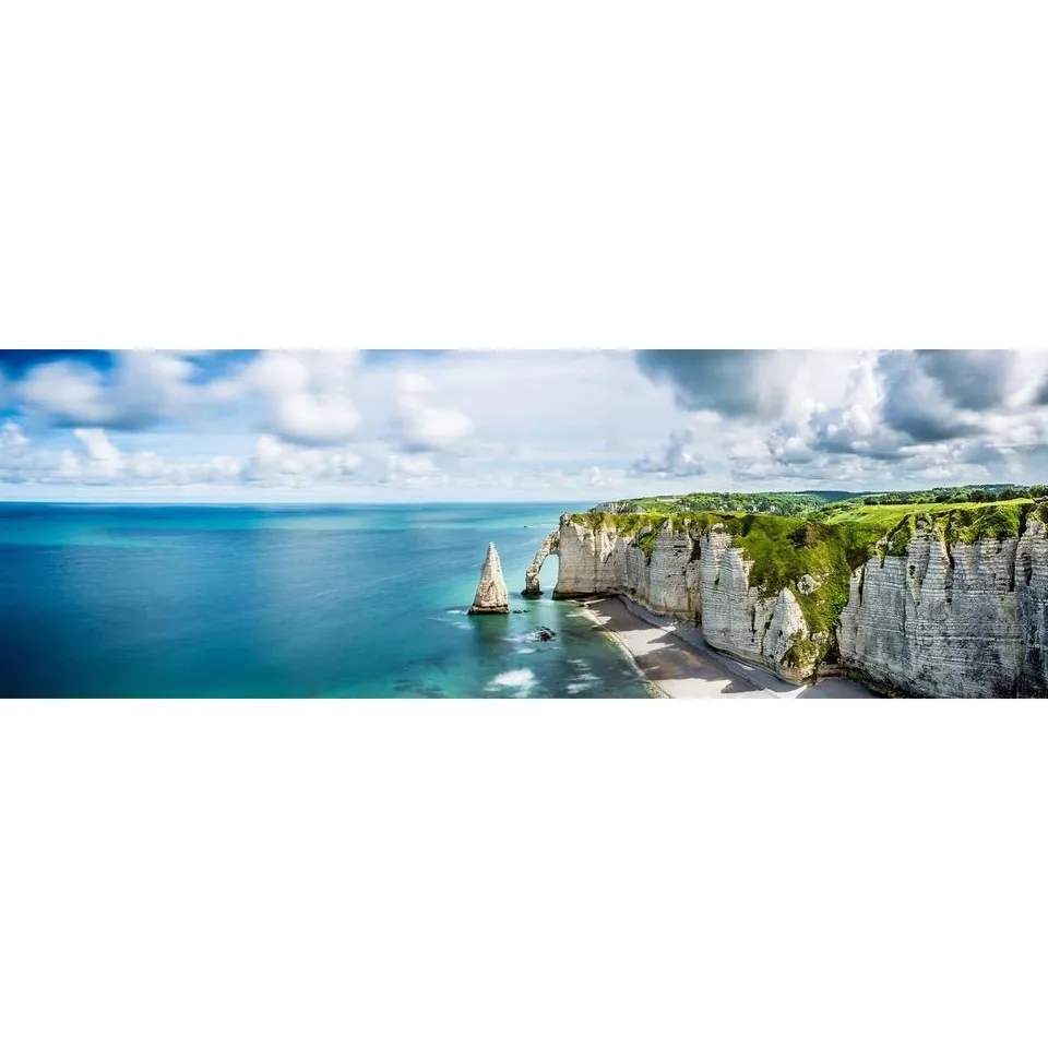 Ceanothe Etretat tableau toile 30x97 cm mat