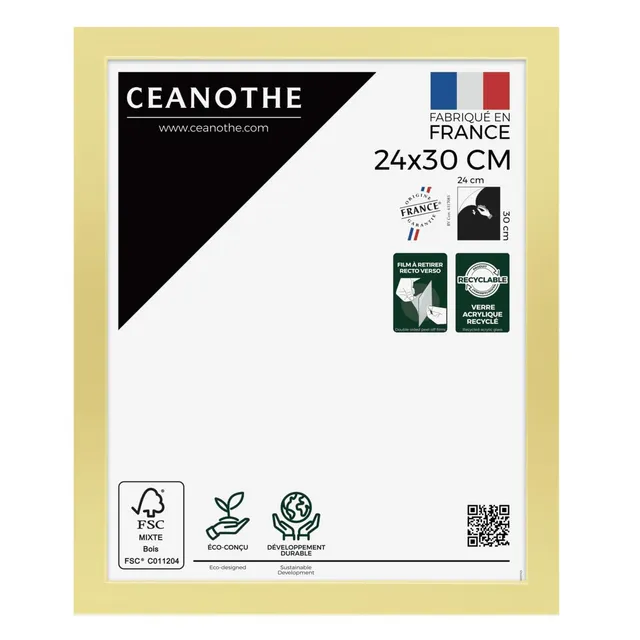 Ceanothe Precious cadre photo 24x30 cm doré incassable