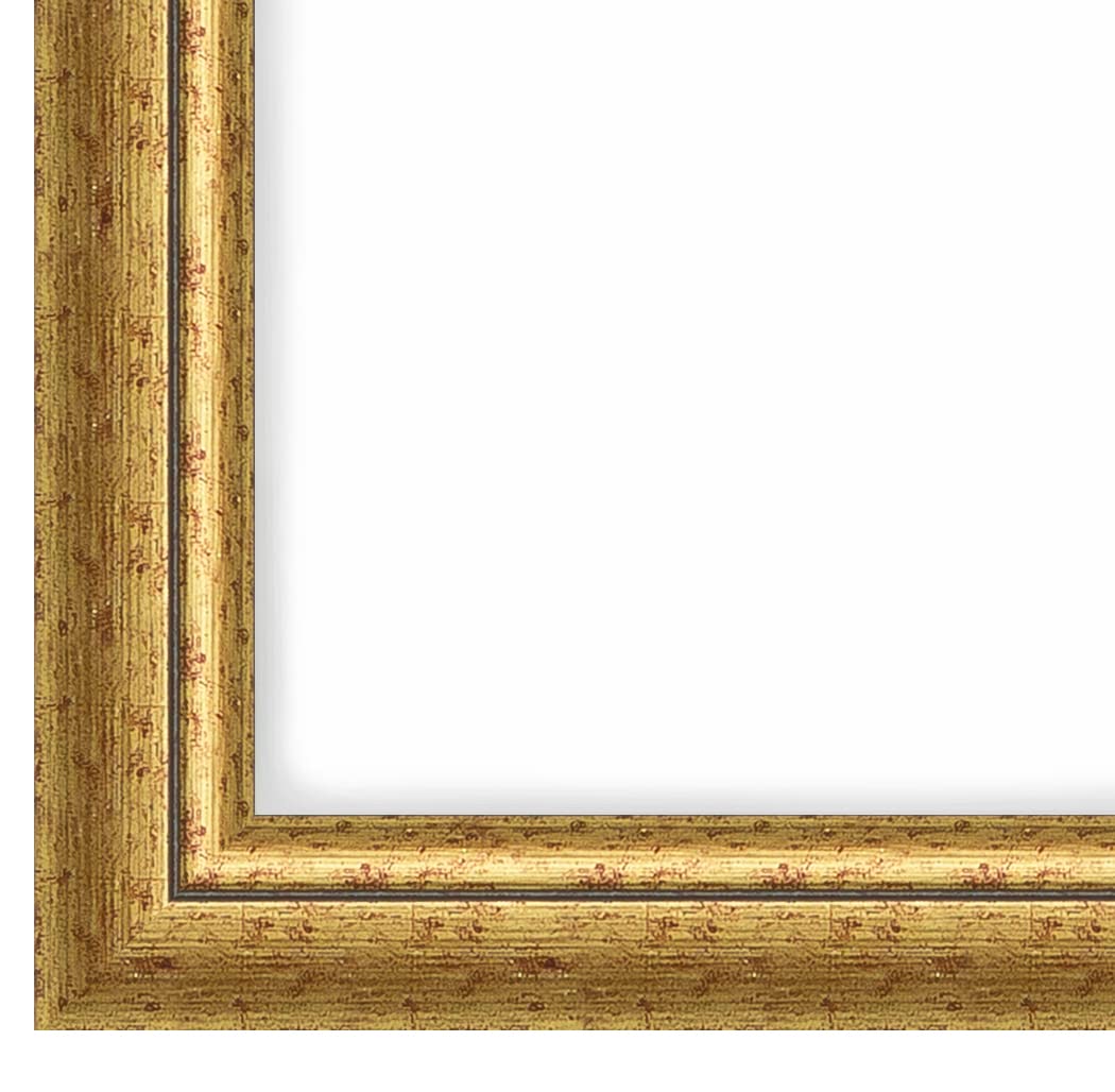 FRAMO N°059 cadre photo 80x100 cm bordeaux or baroque