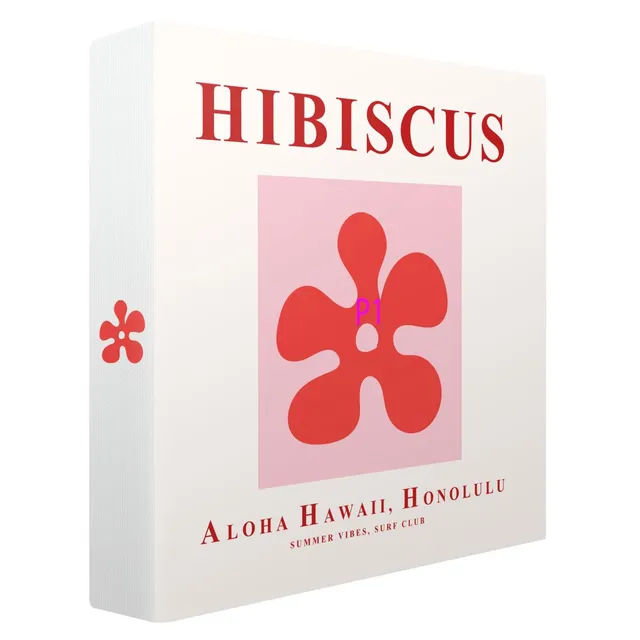 Ceanothe Hibiscus album photo pochettes 200 photos 11,5x15 cm