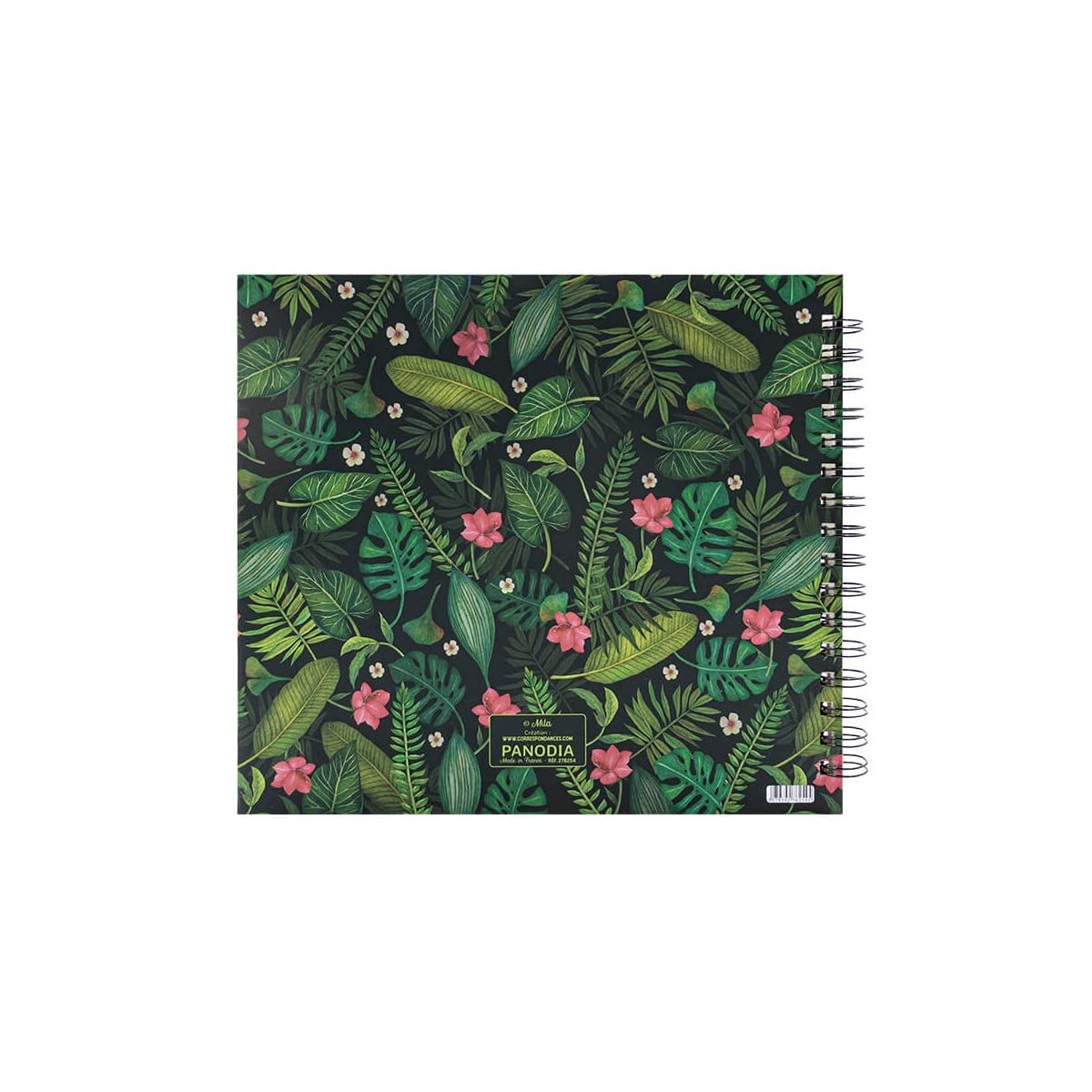 Ceanothe Mila Jardin Exotique album photo 120 photos ivoire