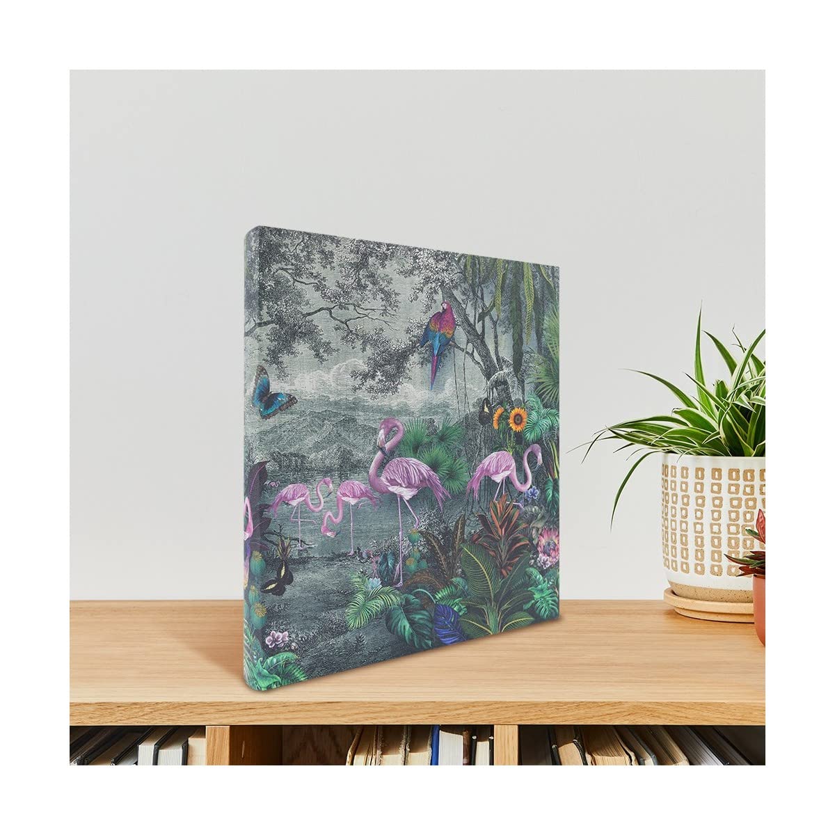 Ceanothe Panodia Flamant album photo traditionnel 600 photos 10x15