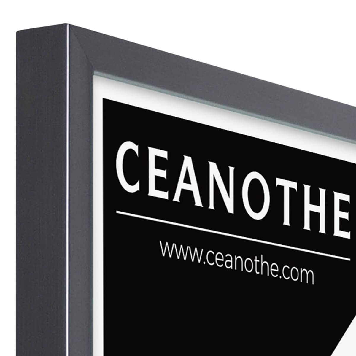 Ceanothe Precious cadre photo 50x70 cm gris laqué