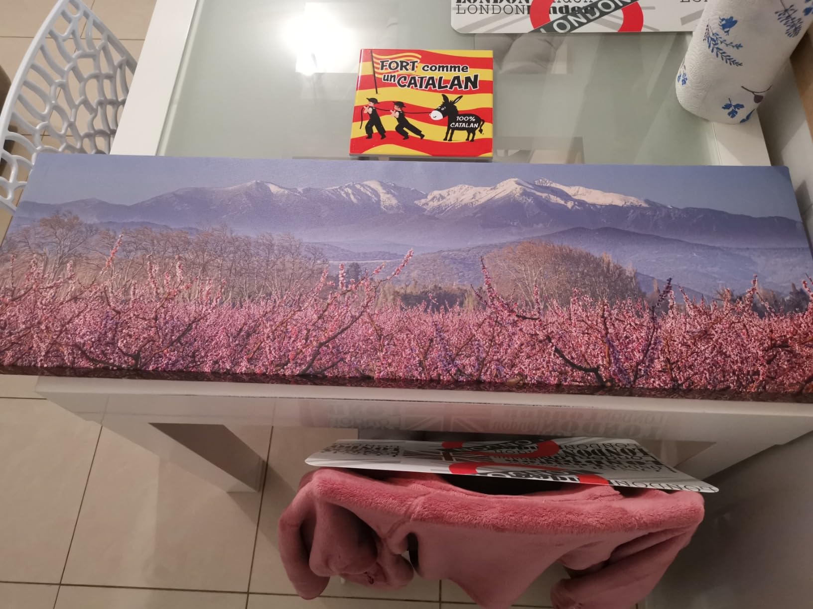 Ceanothe Tableau Toile Le Canigou Enneigé 30x97 cm
