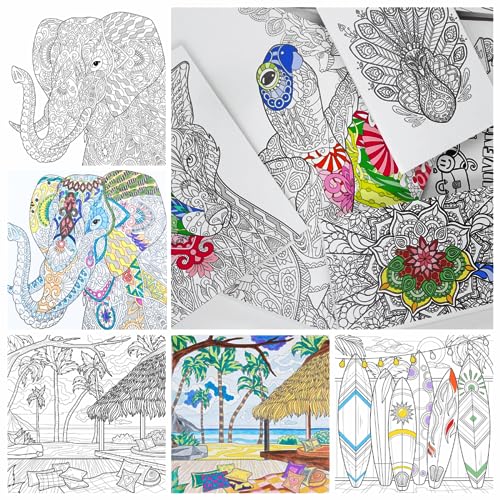 Ceanothe Nature à colorier tableau toile 30x30 cm HD