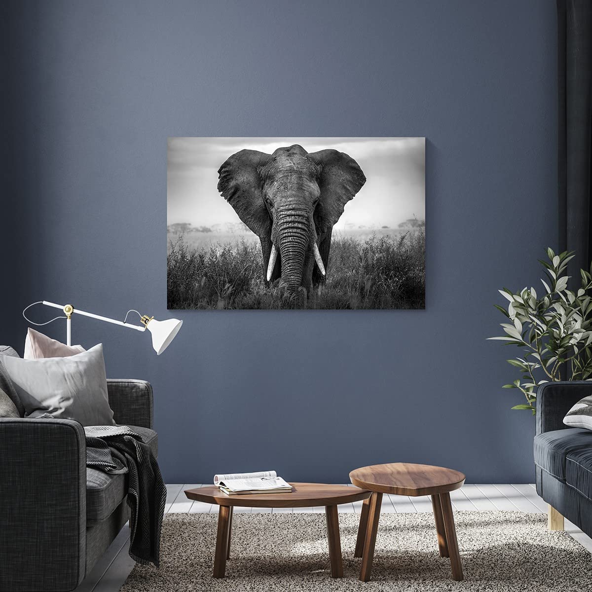 Ceanothe éléphant tableau verre synthétique 80x120 cm noir blanc