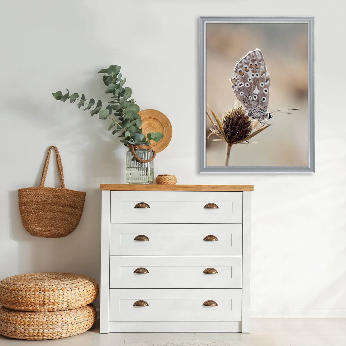 Ceanothe Constance cadre photo gris 50x70 cm