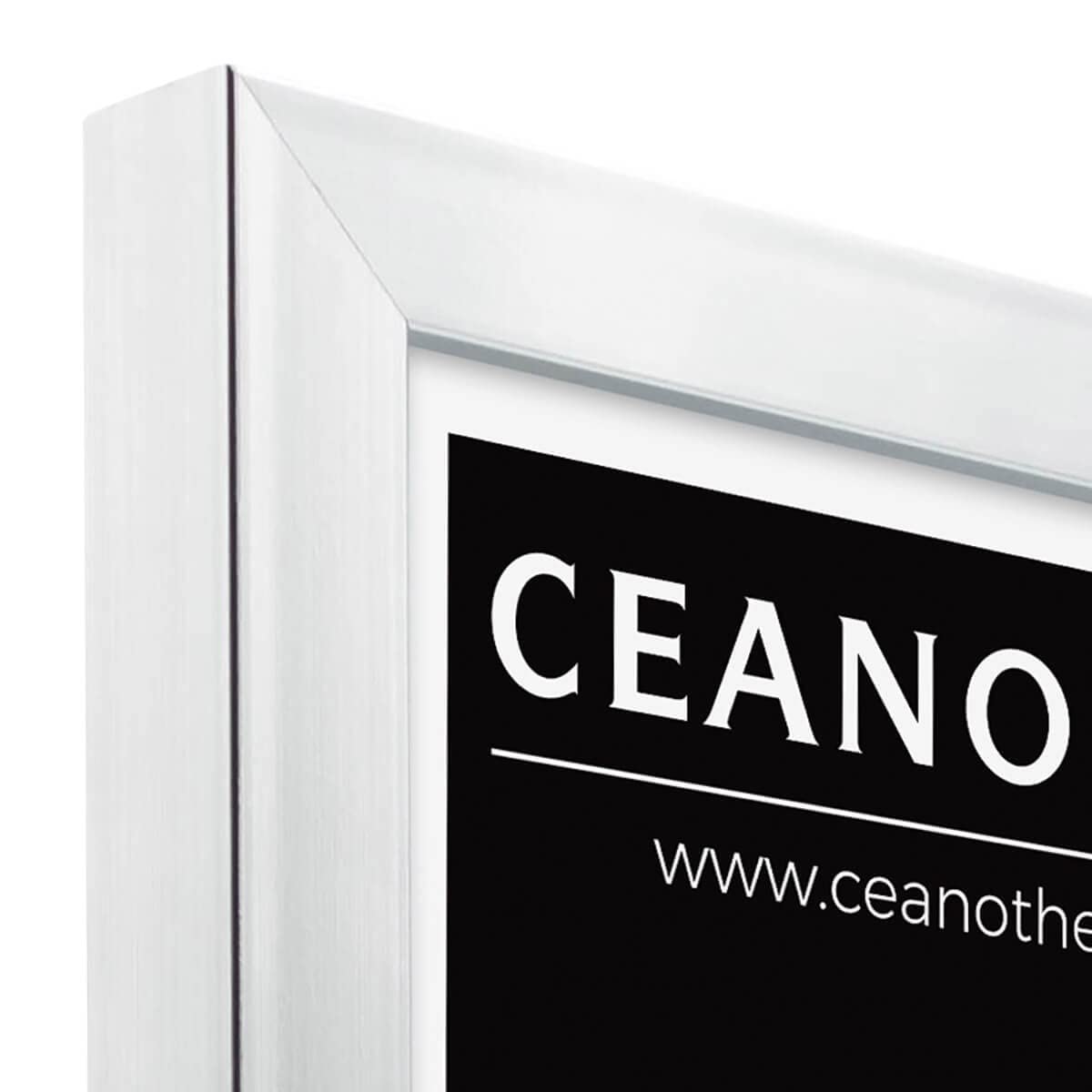 Ceanothe Precious cadre photo acier 30x30 cm brillant moderne