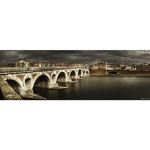 Ceanothe Pont Neuf Toulouse tableau toile 45x135 cm
