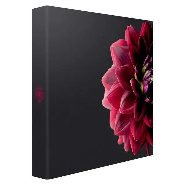 Ceanothe Dahlia album photo 200 photos floral