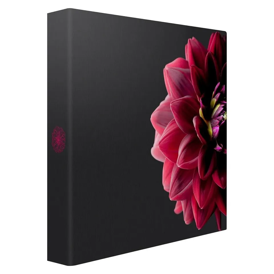 Ceanothe Dahlia album photo 200 photos floral