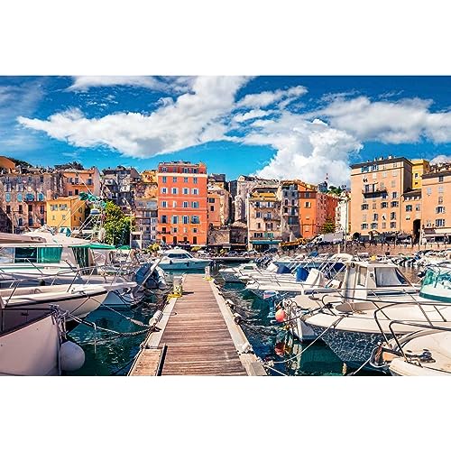 Ceanothe Bastia Corse tableau toile 45x65 cm mat