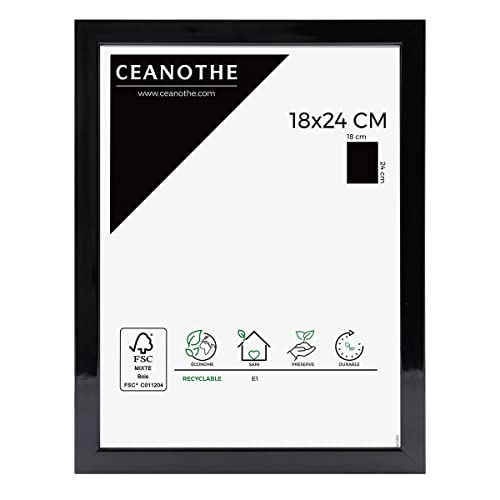 Ceanothe Brio 120074 River cadre photo 18x24 cm noir