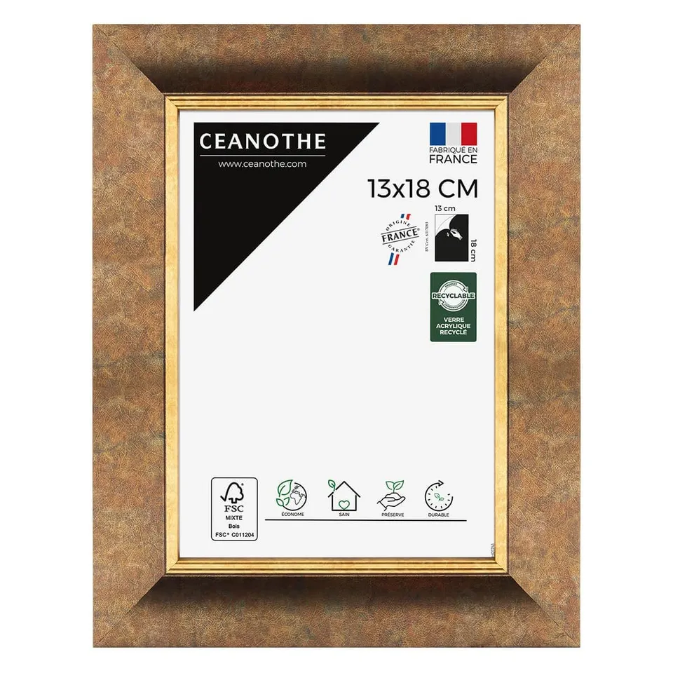 Ceanothe Brio cadre photo 13x18 cm filet or