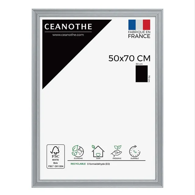 Ceanothe Constance cadre photo gris 50x70 cm