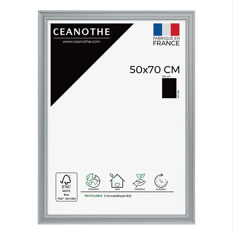 Ceanothe Constance cadre photo gris 50x70 cm