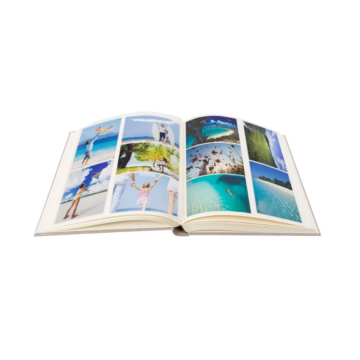 Ceanothe album photo palmier 600 vues 10x15 coton