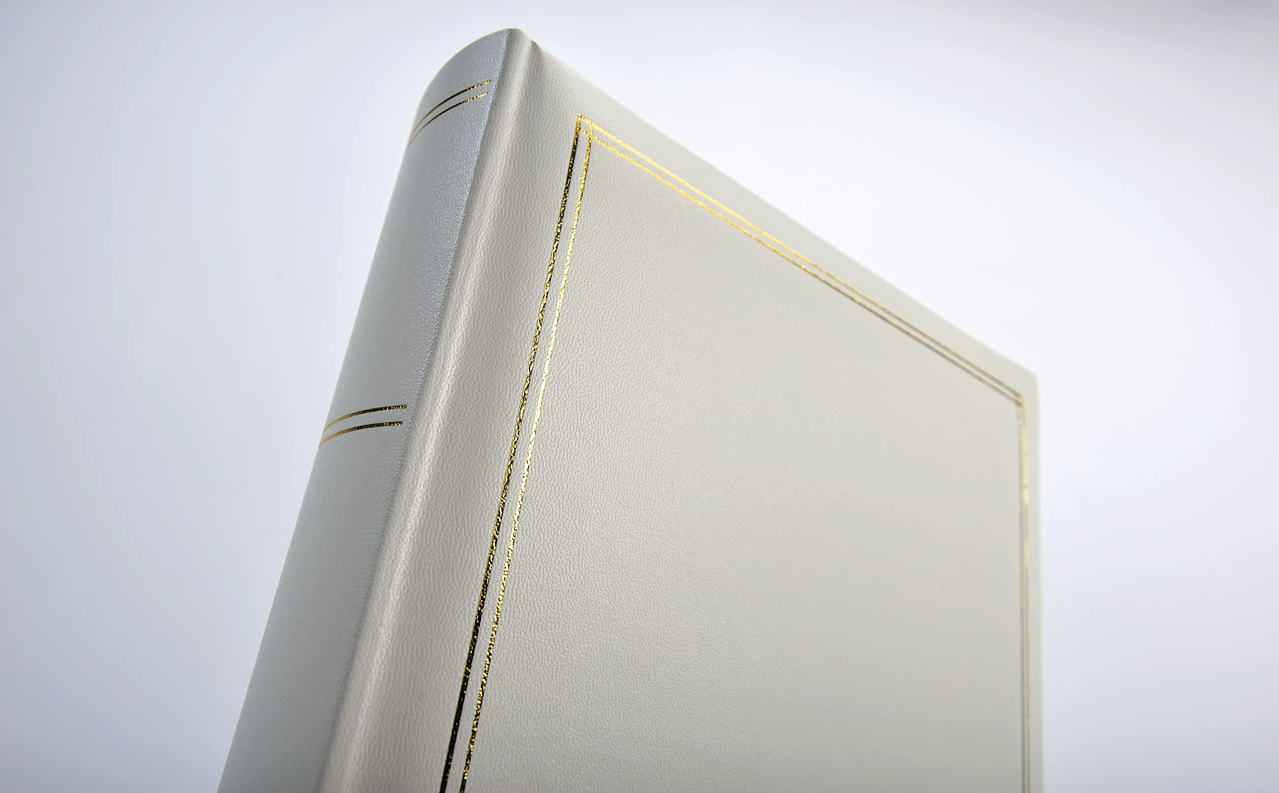 Walther Design Monza FA-260 album photo champagne 30x30