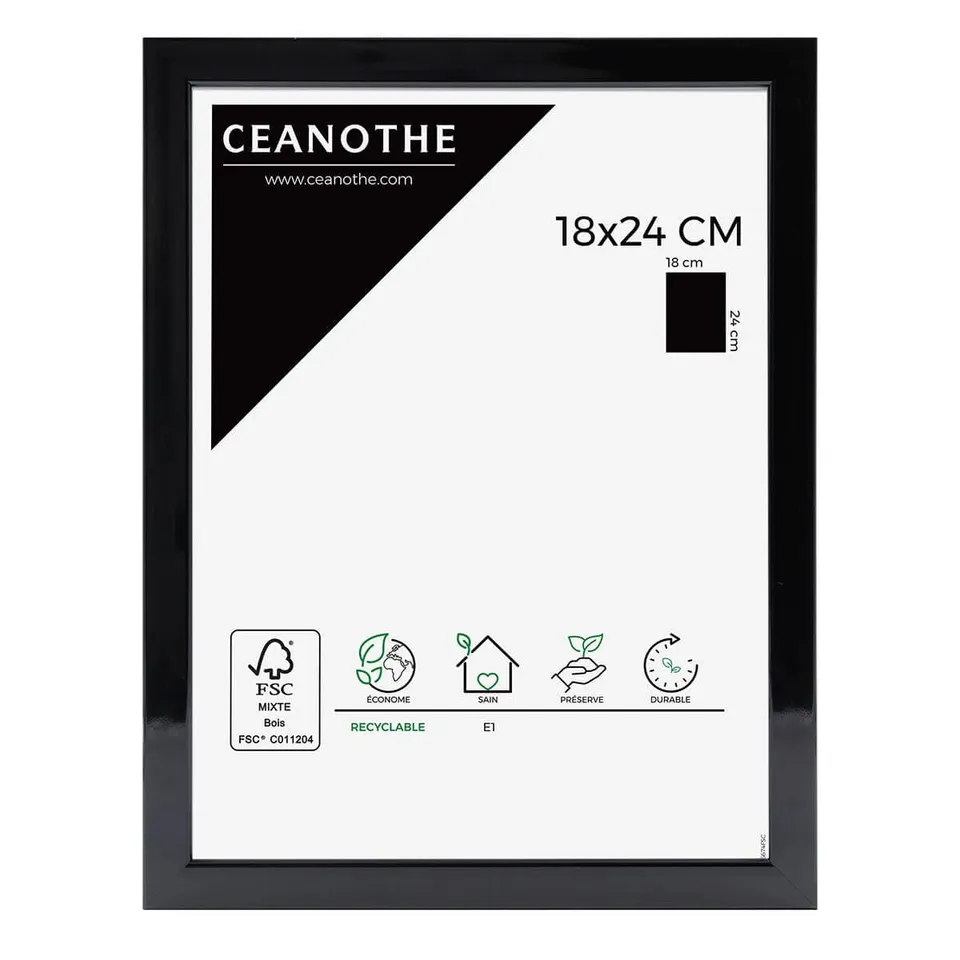 Ceanothe Brio 120074 River cadre photo 18x24 cm noir