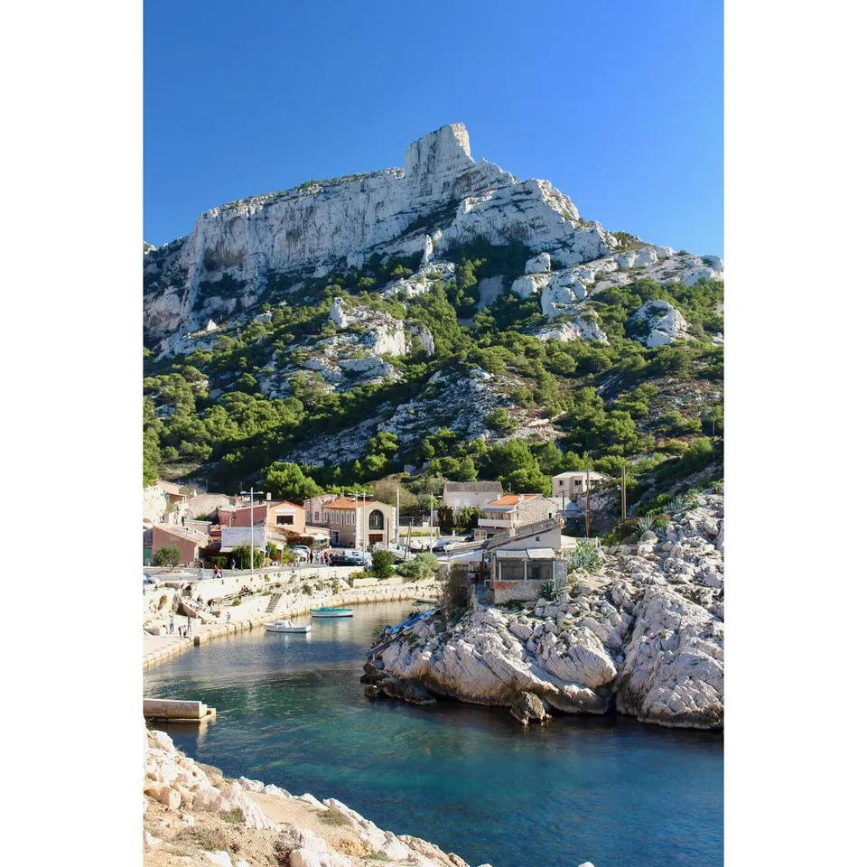 Ceanothe calanque de Callelongue à Marseille tableau toile 30x45 mat