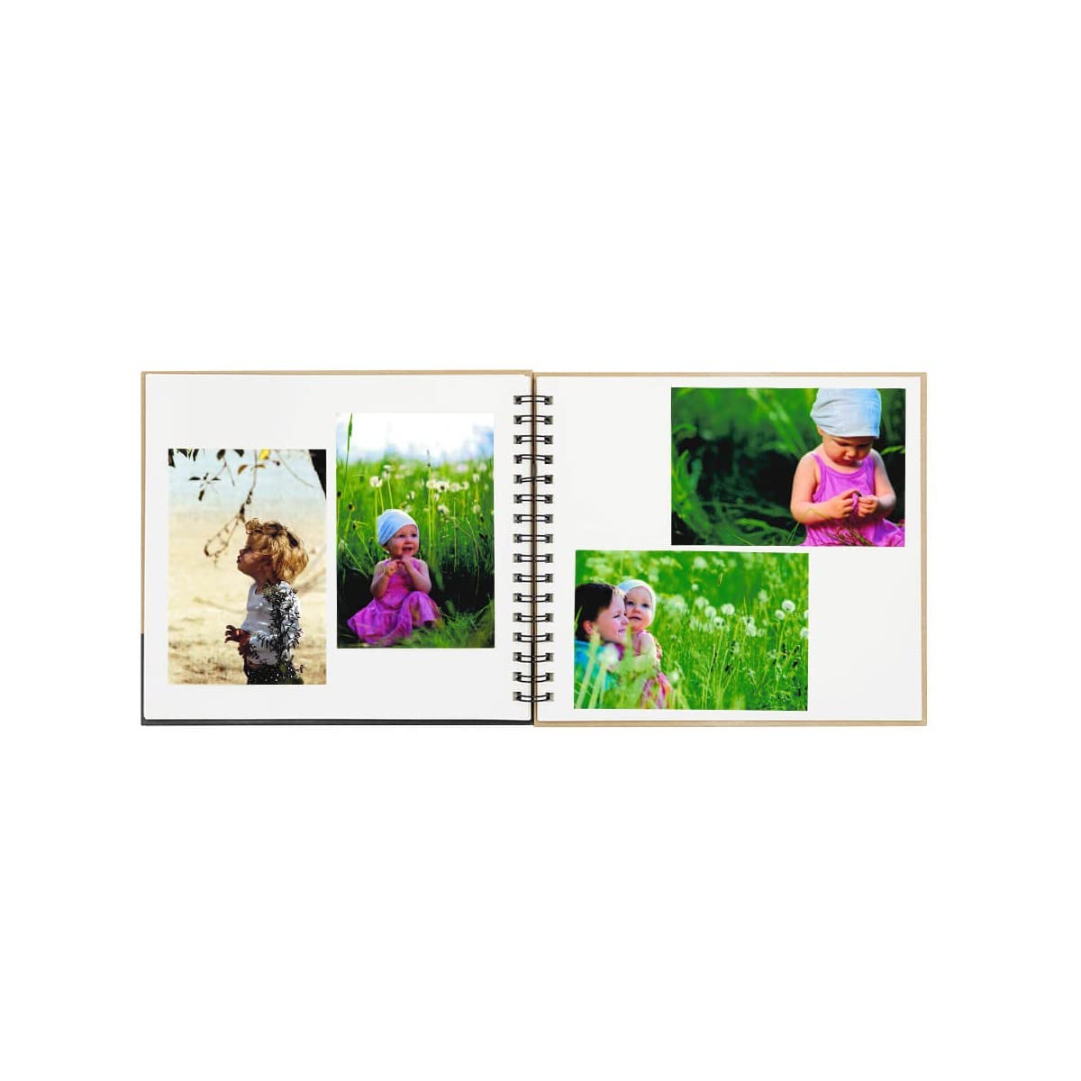 Ceanothe Mila Jardin Exotique album photo 120 photos ivoire