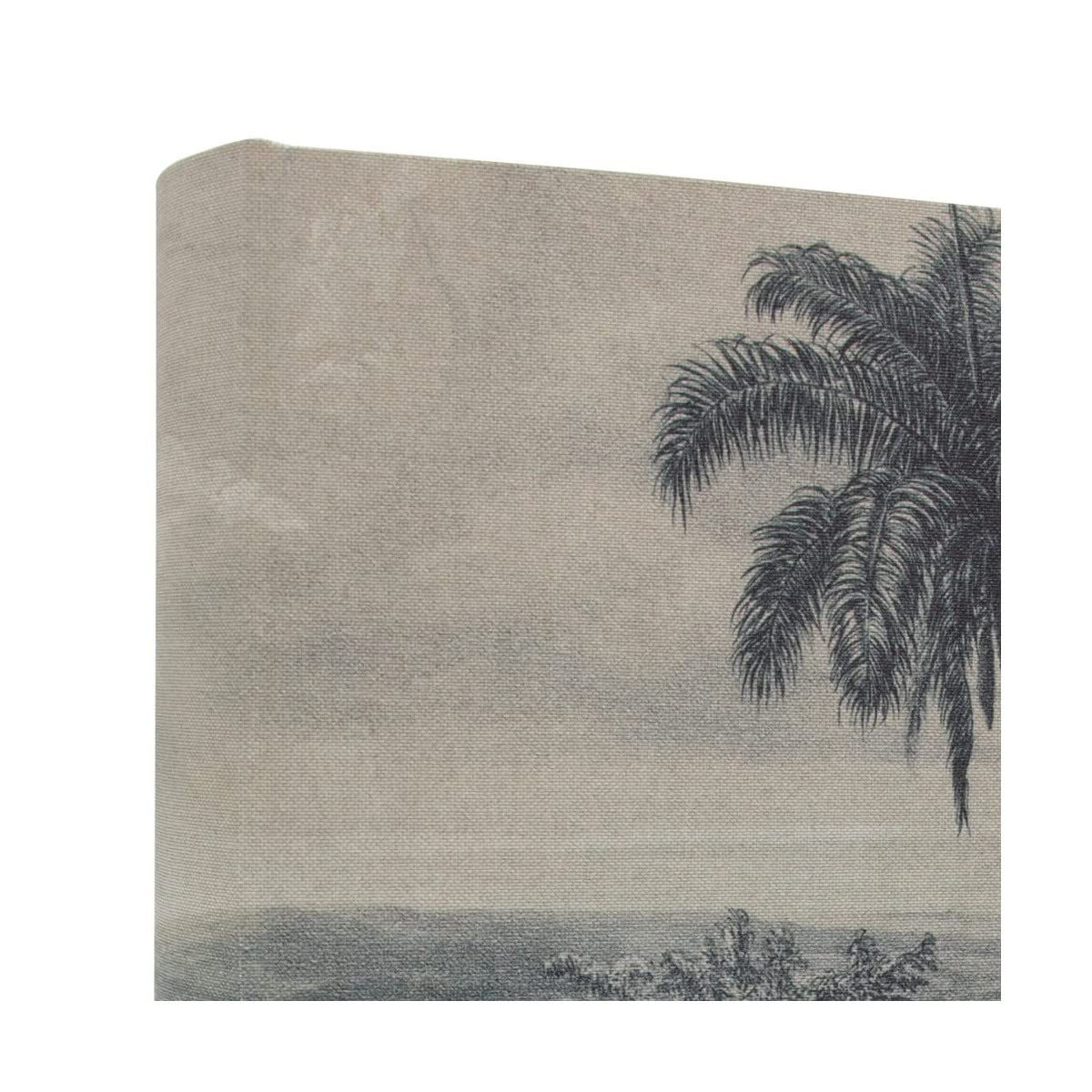 Ceanothe album photo palmier 600 vues 10x15 coton
