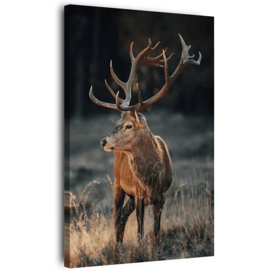 Ceanothe cerf sauvage tableau toile 30x45 cm HD
