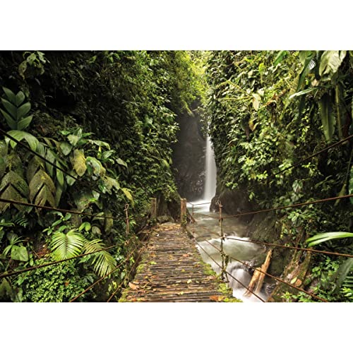 Ceanothe forêt tropicale tableau toile 100x140 cm XXL