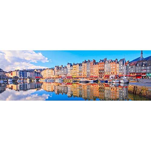 Ceanothe Honfleur tableau toile 30x97 cm port
