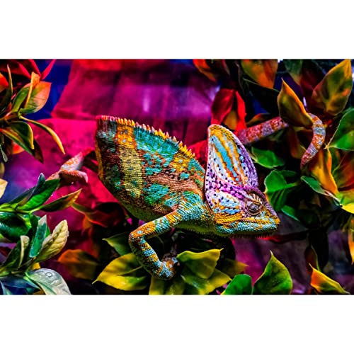 Ceanothe caméléon tableau verre synthétique 65x97 cm